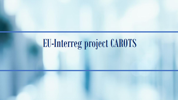 Możliwość wzięcia udziału w cyklu coachingu i webinariów w ramach Startup School projektu CAROTS (Program Interreg BSR).