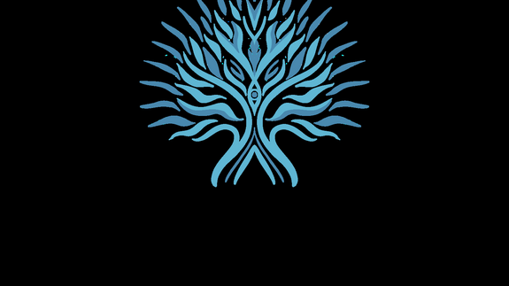 Program edukacyjny InsightED